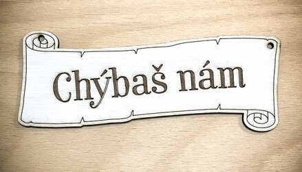 PMN010 Chýbaš nám