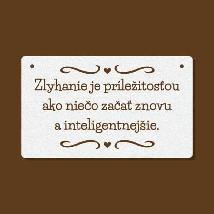 T 178 Zlyhanie je príležitosťou